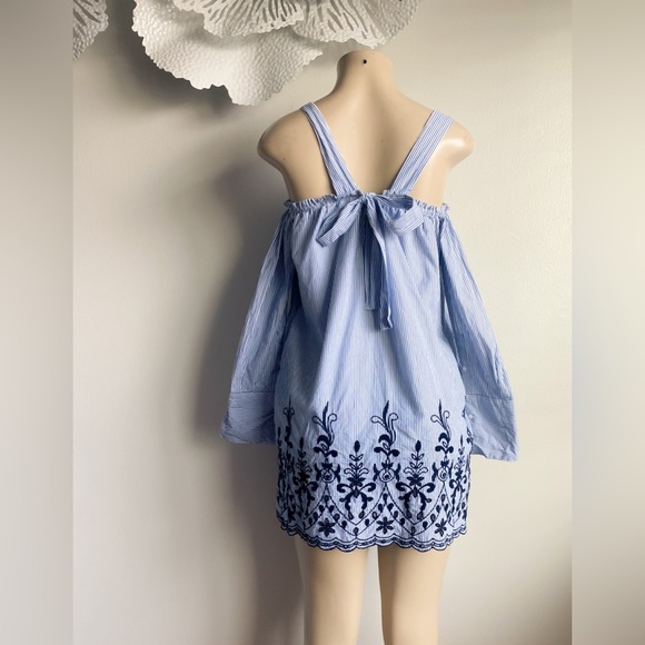 Zara Striped Floral Embroidered Shirt Mini Dress Long Sleeve Eyelets Victorian - Picture 8 of 13